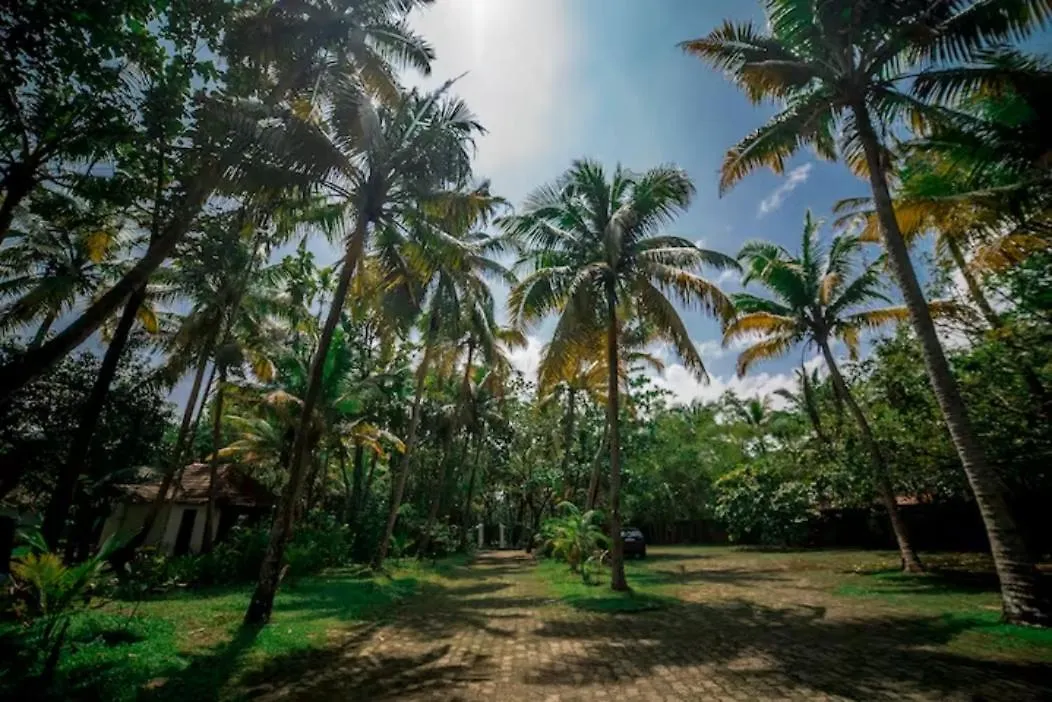 Resort Ogstharavadu Hotel Kochi
