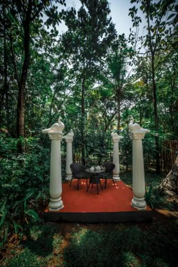 Resort Ogstharavadu Hotel Kochi India